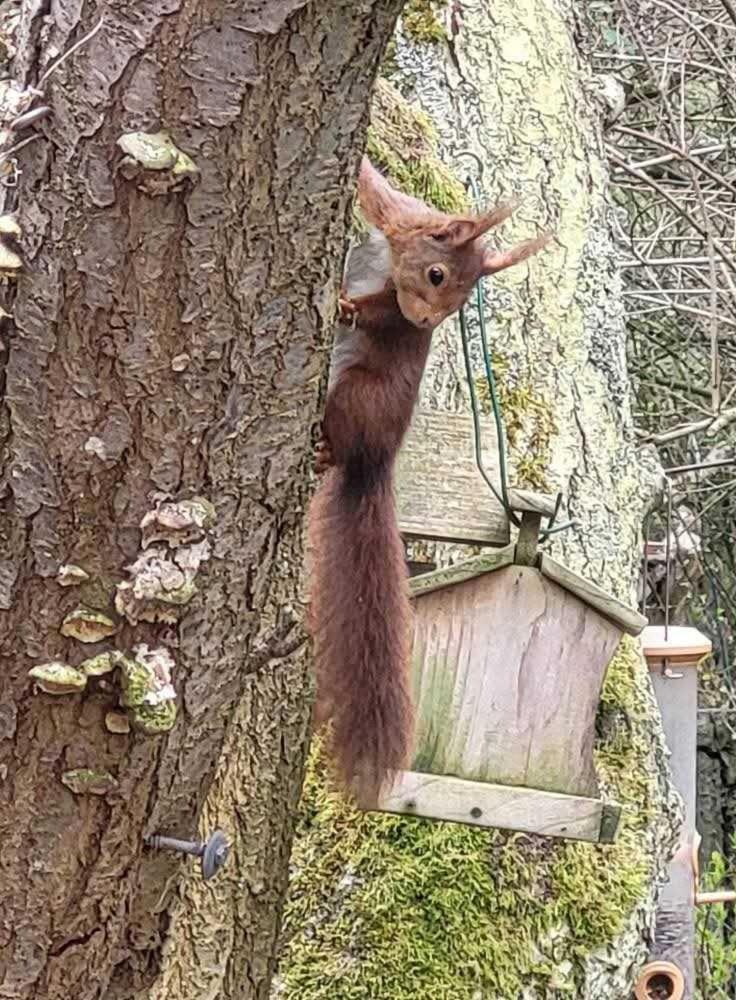 Gite Air Pur Roisin Buitenkant foto
